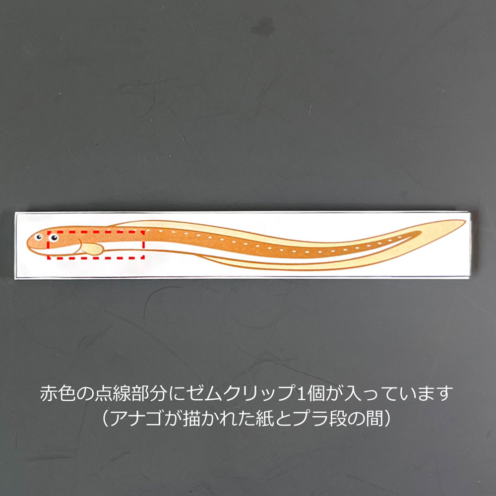 アナゴ